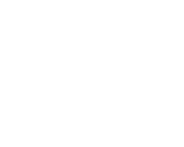 avaestell logo